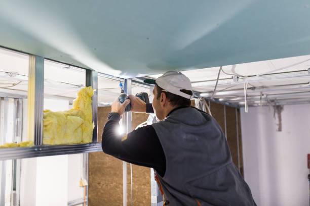 Best Insulation Maintenance and Repair in Goodview, MN